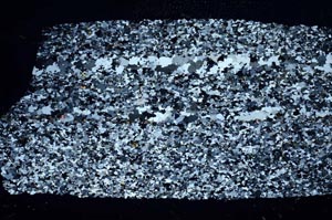 Cross Polarized, S56833