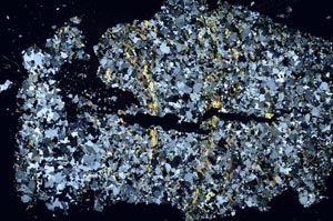 Cross Polarized, S56838/A