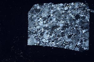 Cross Polarized, S56841
