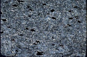 Cross Polarized, S56935