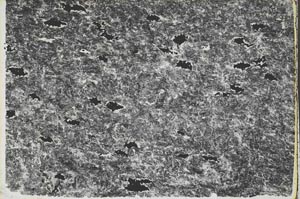 Plane Polarized, S56935
