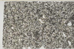 Plane Polarized, S56988