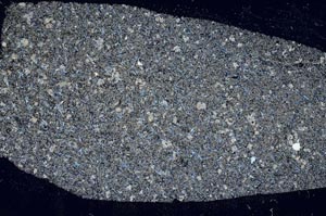 Cross Polarized, S56989