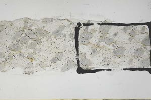 Plane Polarized, S57057