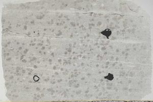 Plane Polarized, S57061