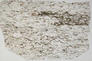 Plane Polarized, S57082