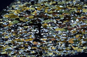 Cross Polarized, S57096
