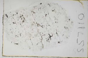 Plane Polarized, S57110