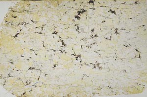 Plane Polarized, S57110/B