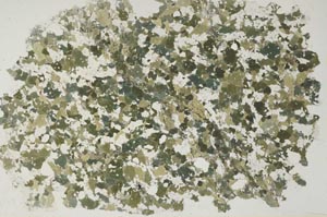Plane Polarized, S57121