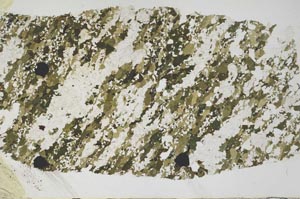 Plane Polarized, S57133