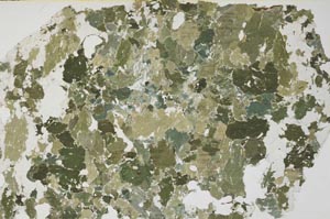 Plane Polarized, S57140