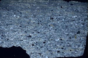 Cross Polarized, S57142