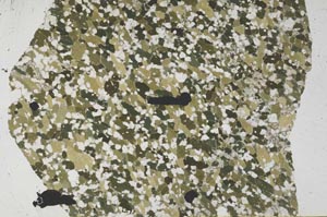 Plane Polarized, S57154