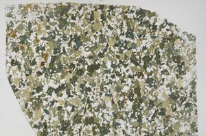 Plane Polarized, S57156