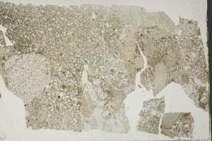 Plane Polarized, S57162