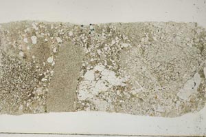 Plane Polarized, S57164