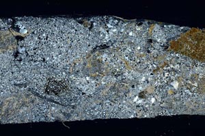 Cross Polarized, S57165