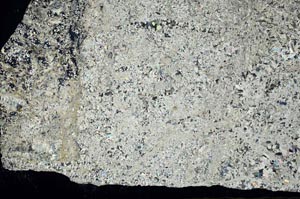 Cross Polarized, S57201