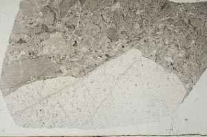 Plane Polarized, S57204