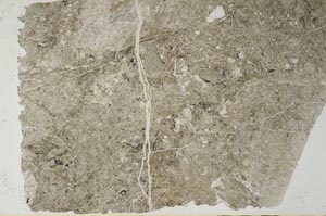 Plane Polarized, S57205