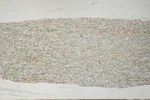 Plane Polarized, S57207