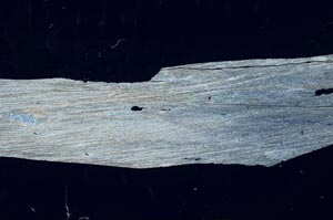 Cross Polarized, S57208