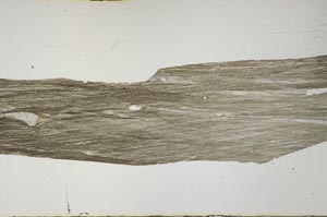 Plane Polarized, S57208