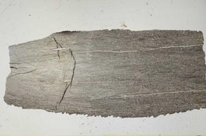Plane Polarized, S57228