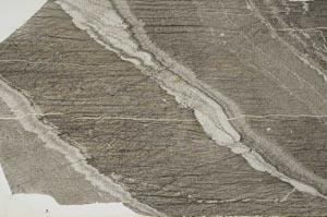 Plane Polarized, S57229