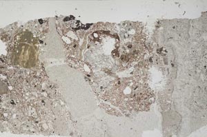 Plane Polarized, S57346