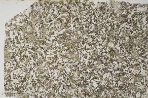 Plane Polarized, S57347