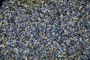 Cross Polarized, S57350