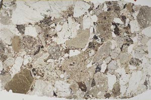 Plane Polarized, S57356