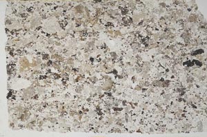 Plane Polarized, S57365