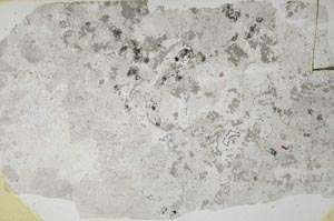 Plane Polarized, S57370