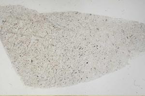 Plane Polarized, S57382