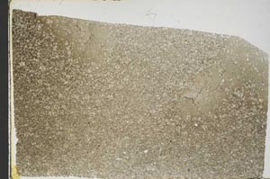 Plane Polarized, S57386