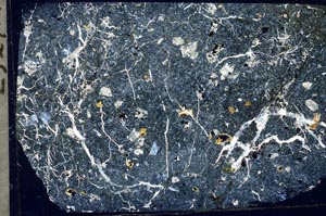 Cross Polarized, S57396