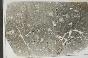 Plane Polarized, S57396