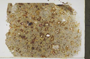 Plane Polarized, S57398