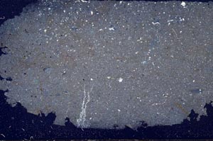 Cross Polarized, S57399