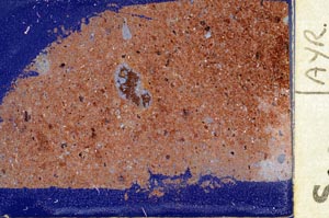 Cross Polarized, S57400