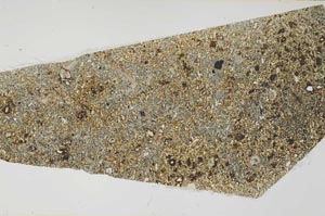 Plane Polarized, S57401