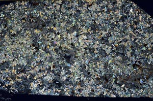 Cross Polarized, S57402