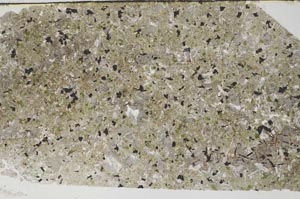 Plane Polarized, S57402