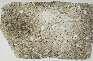 Plane Polarized, S57413
