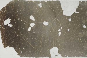 Plane Polarized, S57462