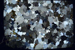 Cross Polarized, S57472/A