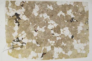 Plane Polarized, S57472/A